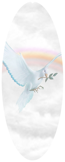 DNSA18-116-D-WT Dove Clouds White
